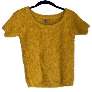 Charlotte Russe yellow fuzzy short sleeve fitted sweater, Medium